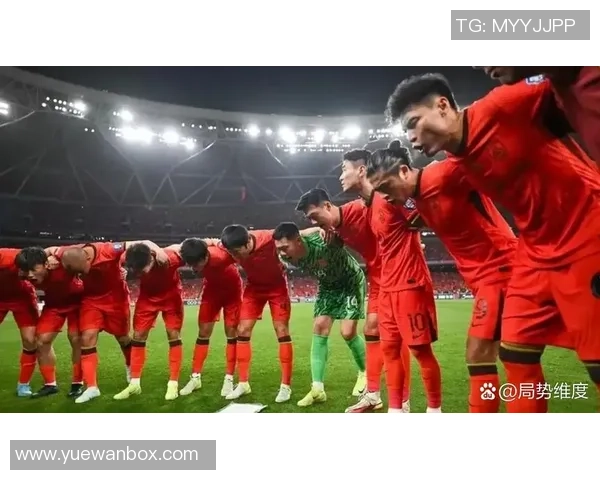 中国人踢足球的热情与挑战如何推动中国足球的未来发展与国际竞争力提升